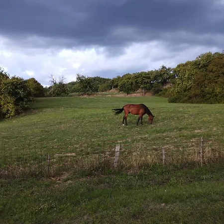 Casa Renacci Dom wakacyjny