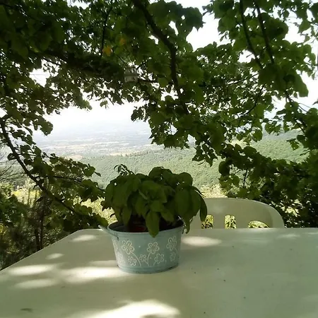 Holiday home Casa Renacci Subbiano