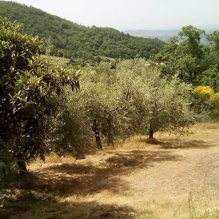 Casa Renacci Subbiano