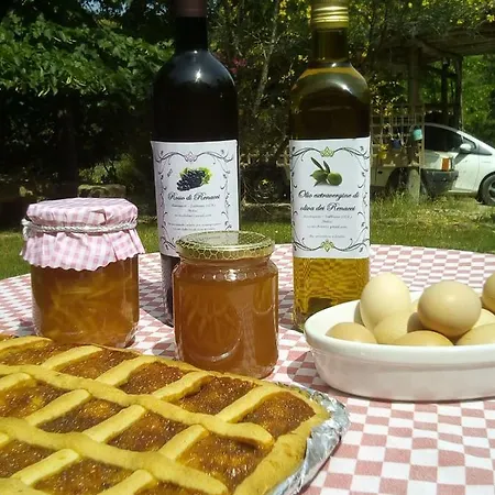 Casa Renacci Semesterbostad *