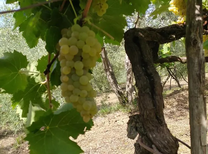 Σπίτι διακοπών Casa Renacci *